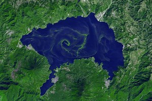 When a Species Poisons an Entire Planet