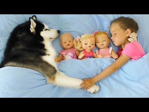 Sofia pretend play with toys for girls and My super fun day with Baby Dolls