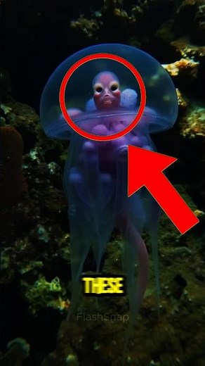 Top 4 Animals With Alien Looking Limbs #AlienAnimals #WeirdNature #AnimalFacts