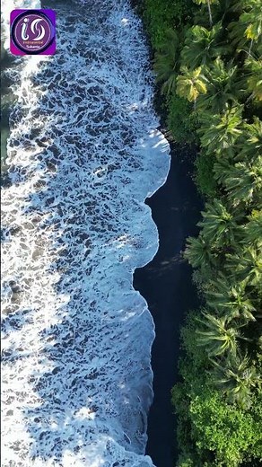 Bollywood Instrumental Songs | Hindi Piano Instrumental Music | Roja | AR Rahman #instrumentalmusic