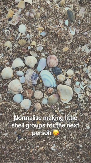 The lighting was so sad at the start 💔#shells #beachvibes #fyp #viral