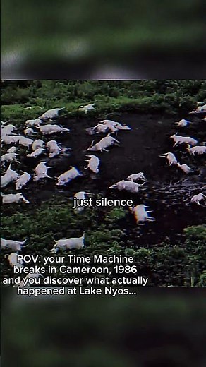 The Lake Nyos Incident.
