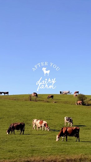 บัญชีที่แนะนำ