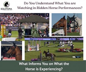 573K views · 1.5K reactions | Putting Horses First – Not Just in...