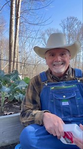 6.8K views · 178 reactions | Bacillus Thuringiensis or commonly known at BT spray. The organic cure all for all pests?? #garden #gardening #gardentips #homestead #homesteading #homesteadlife #farm #farming #farmlife #foodie #farmtotable #permaculture #vegetables #btspray | PawPaw Ridge Homestead | Facebook