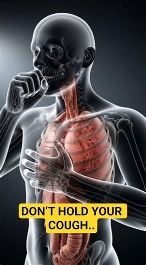 Holding Your Cough? See What Happens Inside Your Body (3D Animation)