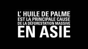 44K views · 1.9K reactions |  Le développement intensif des palmeraies pour la production d'huile de palme est la principale cause de la déforestation massive en Asie. Aidez la forêt à regagner du terrain ➡️ https://urgence-deforestation.wwf.fr | WWF-France | Facebook