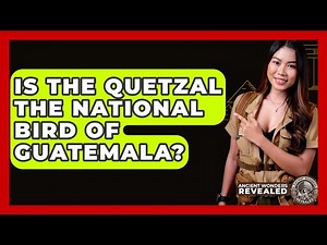 Is The Quetzal The National Bird Of Guatemala? - Ancient Wonders Revealed