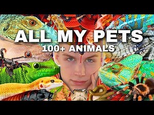 Meet ALL My Pets (I Have 100+ Animals) [🐸,🦔,🐶,🕷,🐢,🦎,🐍,🐜]