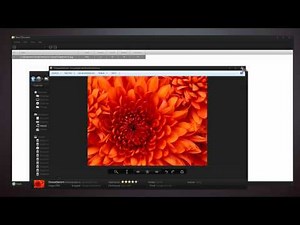 Protege Archivos En Windows 7 Easy File Locker 1.2