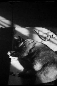 2October (2020) - Movie