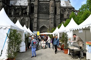 À l'occasion du premier Cheese festival, à Clermont-Ferrand, voici quelques recettes pour agrémenter votre fromage