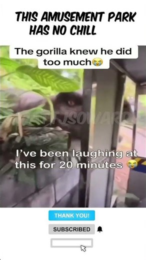 Epic Thrill Rides You Won't Believe Exist 😱 #AmusementPark #ThrillSeekers