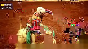 Experience the thrill and precision at its peak during IFR54 presented by Love's! Join us for the IPRA World Championship, where the world's top rodeo talents compete for glory. Grab your tickets and get ready to witness the culmination of Oklahoma's 10 Richest Days of Rodeo! Tickets: https://etix.com/ticket/e/1040488/ifr54-guthrie-lazy-e-arena | International Professional Rodeo Association