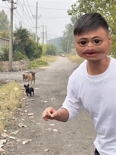 Impressive Animal Sounds Imitated by Talented Performer