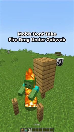 Minecraft Mythbusting🚀​