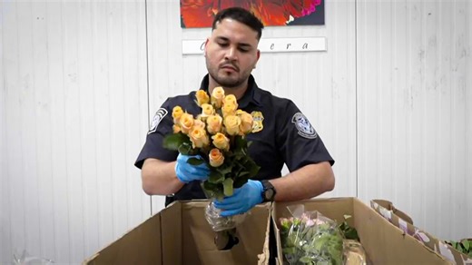 See What It Takes To Deliver Valentine's Day Flowers Nationwide