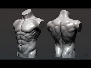 Torso Speed sculpting