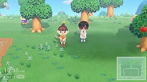 Animal Crossing New Horizons Multiplayer & Co-Op Guide