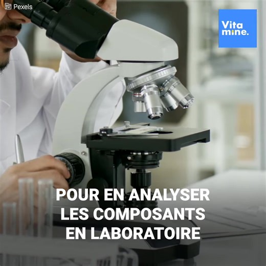 Il est couvert de “racines”. Ses extrémités ressemblent à de l’écorce d’arbre. Dede Koswara a développé une maladie unique au monde. Elle ne touche pas que sa santé, elle lui a aussi fait perdre sa famille. Il ne s’est pas rendu jusqu’à trouver un traitement. Mais la réponse trouvée n’allait pas être celle qu’il espérait. | Formidable