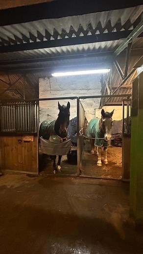 16 reactions | Winter equestrian vibes: 90% mud, 10% regretting all...