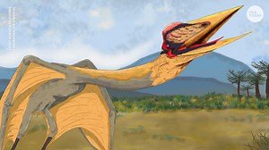 Ancient fossils of bus-sized 'Dragon of Death' flying reptile unearthed in Argentina