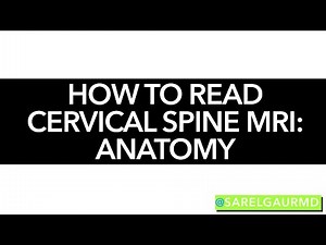 How to read Cervical Spine MRI - Anatomy