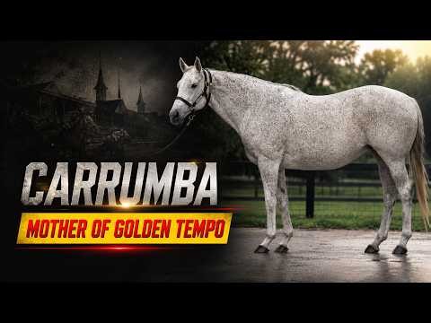 MEET CARRUMBA | The Dam Of Golden Tempo 2026 Kentucky Derby & Belmont Stakes Winner