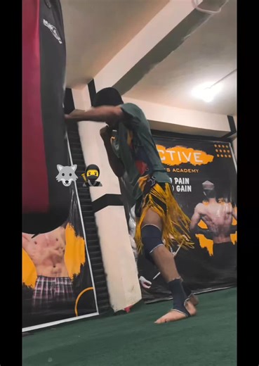 Exploring Wushu and Kung Fu Techniques Revealed