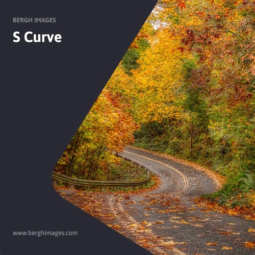 "S Curve": https://www.berghimages.com/warehouse-open-edition-prints/art_print_products/s-curve-lr-2 Washington State, though known as the Evergreen State, experiences vibrant fall colors from late September through mid-October, with peak viewing periods typically in October. The colors are most intense in the mountain regions like the Olympic and Cascade ranges, with the Puget Sound lowlands experiencing slightly delayed peak colors. These fall colors were captured in the Eagledale are of Bainb