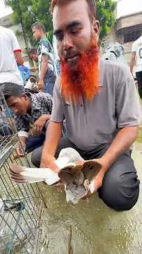 Inside the Secret Bird Market of Beldanga