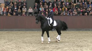 5.1K views · 19 reactions | Am Samstag präsentierten sich die Vererber des Gestüt Blue Hors beim Åbent Hus m. hingstefremvisning! Die gesamte Hengstschau findet ihr in der Mediathek! ▶️watch.clipmyhorse.tv/HengstschauBlueHorsStud | ClipMyHorse.TV Deutschland | Facebook