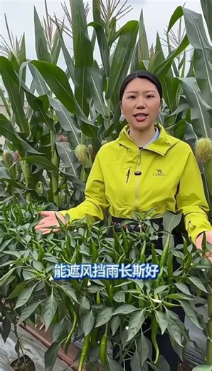 Ultimate Vegetable Growing Tips: Learn & Grow at Home