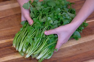 222K views · 5.3K reactions | This is my grandmom’s recipe for preserving cilantro after harvest because she used to grow a lot. The ingredients are super simple, but the combination is surprisingly delicious. If you love cilantro, please think carefully before you make this recipe because this stuff is addictive. | Souped Up Recipes | Facebook