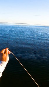 POV： Hooking into a tarpon with @Kieran Alex Hoffmann | Lords Of The Fly