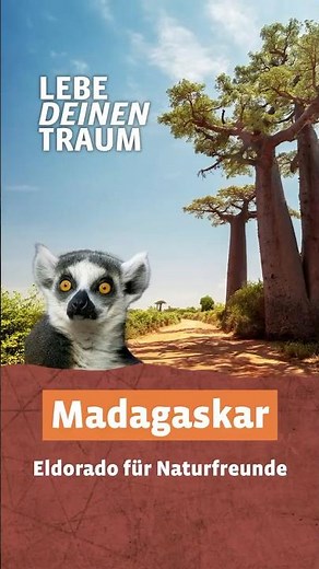 Experience Madagascar with World Insight