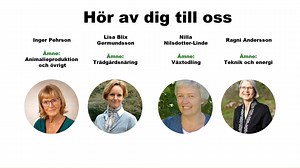 Innovationssupporten finns till för alla som är intresserade av innovationsstödet och EIP-Agri. Vi kan tillsammans diskutera om din idé är en möjlig innovation. Då kan vi hjälpa dig med vilka forskningsresultat eller andra kunskaper och erfarenheter som finns kring din utmaning. Du hittar oss här www.landsbygdsnatverket.se/innovationssupporten Innovationssupporten företräder dig och ska se till ditt bästa i varje sammanhang. Vi har tystnadsplikt. Det råder sekretess kring allt material och under