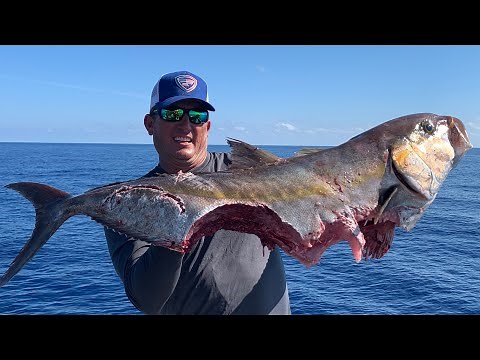 DEEP SEA FISHING {200 miles offshore!!!} YANKEE CAPTS - KEY WEST, FL