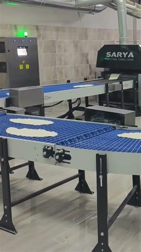 Автоматическая линия для производства лаваша SARYA 3000 шт/ч +79383462368 - FJB GROUP LLC