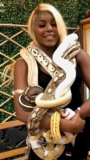 Incredible Animals Transformation!! 💀