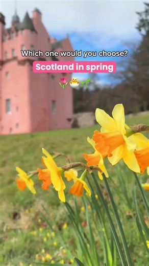 Winter or Spring in Scotland? ☃️🌷