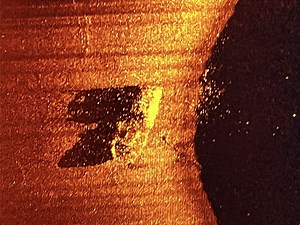 USF-trained shipwreck hunter makes another major discovery