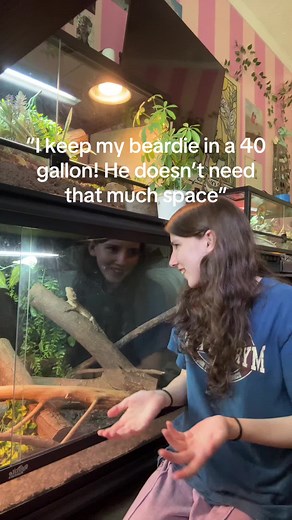 Essential Bearded Dragon Enclosure Size Guidelines