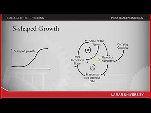 System Dynamics: Fundamental Behavior Patterns