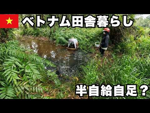 【Vlog】ベトナムの田舎で、自給自足生活を目指す30歳無職男性の3日間