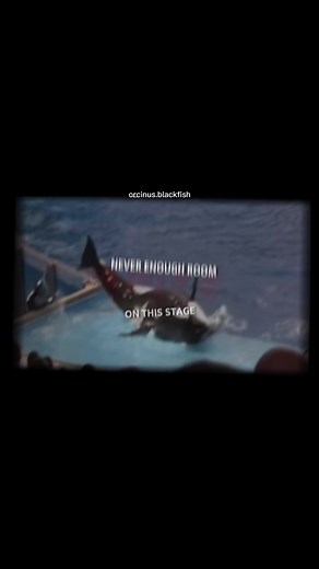 Discover the Name of the Mysterious Orca