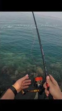 الحي مامثله 🔥