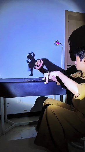 Learn Hand Shadow Dance Techniques Easily