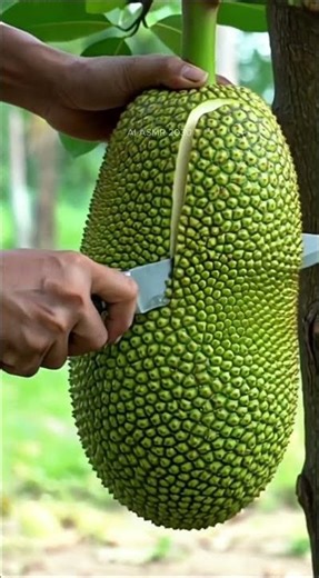The CRUNCHIEST Fruit Cut! 🔪 Jackfruit ASMR