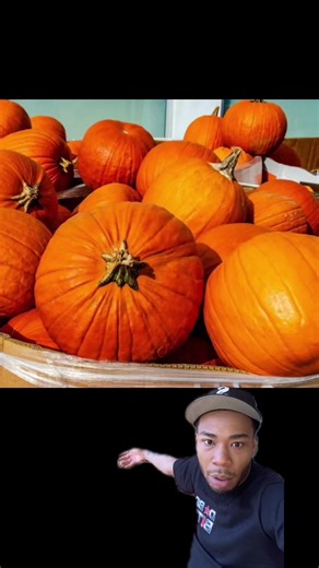 Pumpkin: Fruit or Vegetable? Let's Find Out!